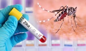 DOH Alert: Zika Virus Spreads on Oahu Island