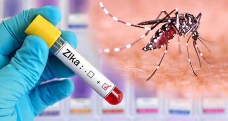 DOH Alert: Zika Virus Spreads on Oahu Island