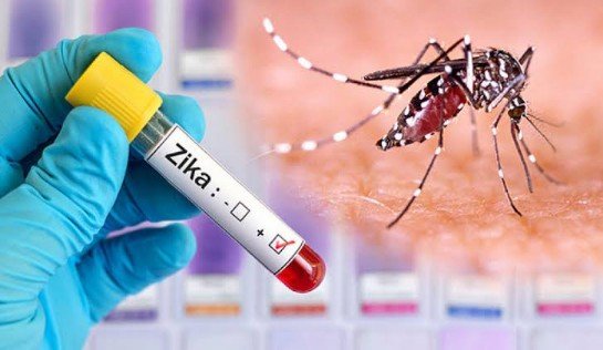 DOH Alert: Zika Virus Spreads on Oahu Island