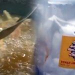 Micro, Small and Medium Enterprise Budget Should Not Be Cut