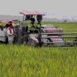 Peran Strategis Kabupaten Karo Dalam Ketahanan Pangan Sumatera Utara