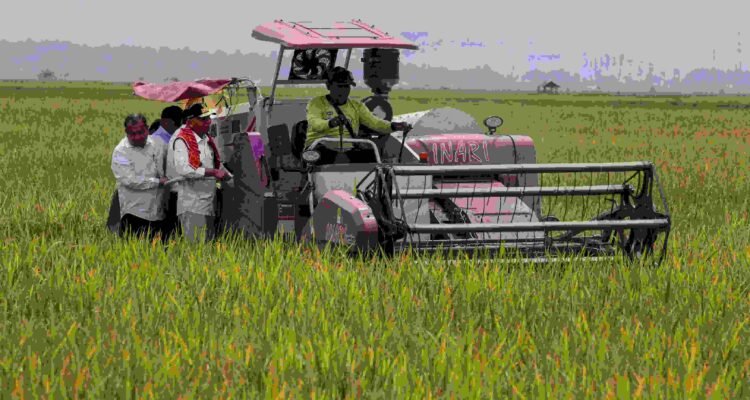 Peran Strategis Kabupaten Karo Dalam Ketahanan Pangan Sumatera Utara