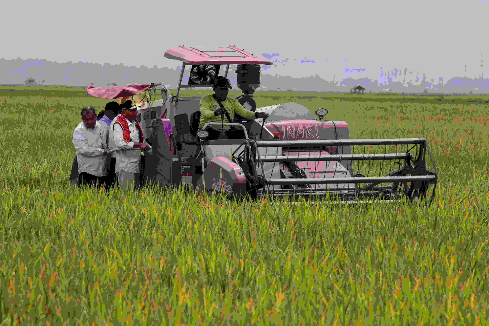Peran Strategis Kabupaten Karo Dalam Ketahanan Pangan Sumatera Utara