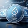Sui price expected to rise by 465 percent to $54
