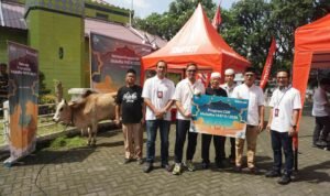In the spirit of togetherness for Eid al-Adha 1447 Hijria, Telkomsel distributes sacrificial animals