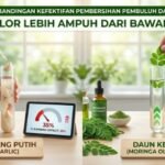 Moringa leaves are more effective than garlic for cleansing blood vessels