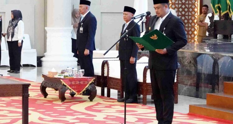Developing programs that stimulate economic growth