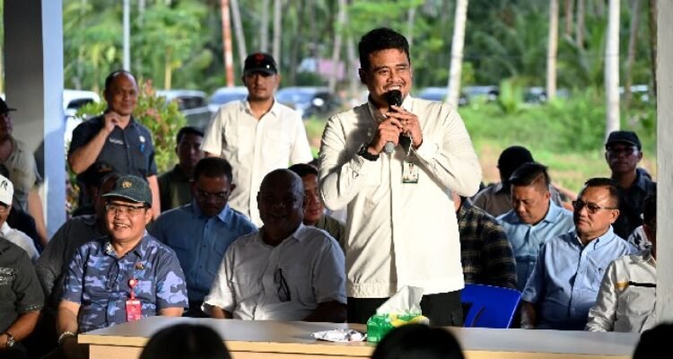Governor Bobby Nasution builds 2 billion rupiah coconut production center in North Nias