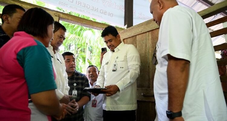 Governor Bobby's plan to build Lasara Public Primary School in North Nias