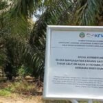 The Natural Resources Conservation Agency (BKSDA) reports environmental damage caused by heavy machinery operations in the Karang Gading Nature Reserve