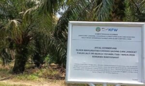 The Natural Resources Conservation Agency (BKSDA) reports environmental damage caused by heavy machinery operations in the Karang Gading Nature Reserve