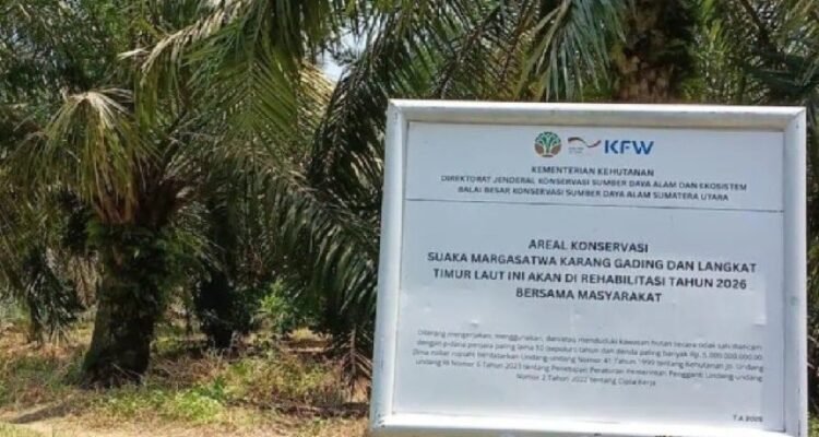 The Natural Resources Conservation Agency (BKSDA) reports environmental damage caused by heavy machinery operations in the Karang Gading Nature Reserve
