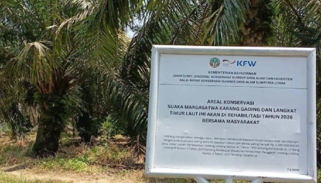 The Natural Resources Conservation Agency (BKSDA) reports environmental damage caused by heavy machinery operations in the Karang Gading Nature Reserve