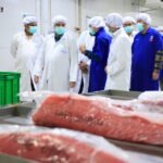 The fisheries sector has the potential to create new jobs for local workers